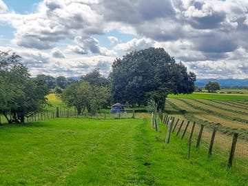 4 person tent in bottom paddock