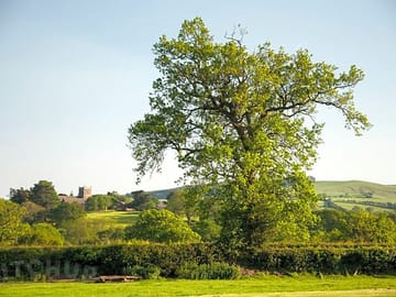 The camping field