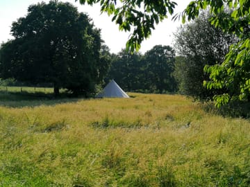 Bell tent field