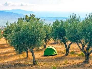 Tent among the trees