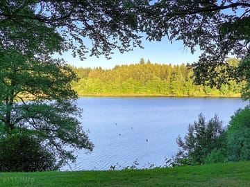 Lake view