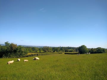 View from the farm