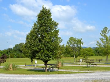 Green sites