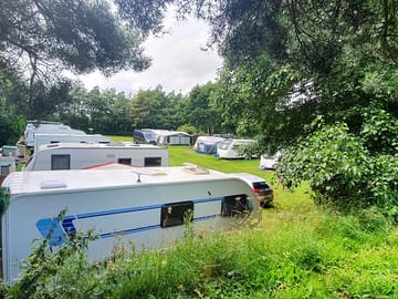 Pitches through the trees