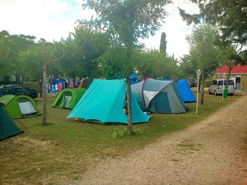 Pitches on site