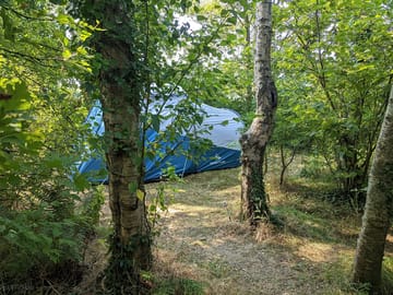 Secluded tree pitches