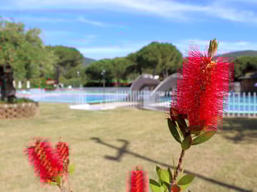 The swimming pool