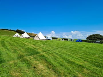 Camping meadow