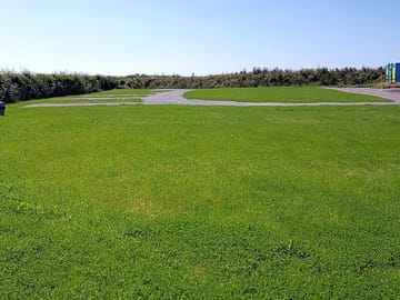 Roomy grass area