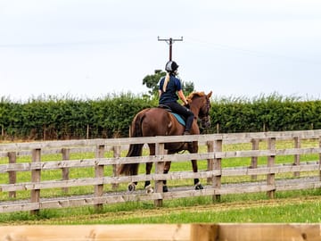 Horse-rider on site