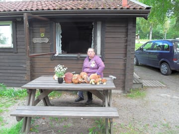 Famed area for mushroom foraging