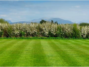 Field of dreams