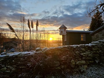 Frosty sunrise