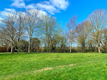 Grassy pitches