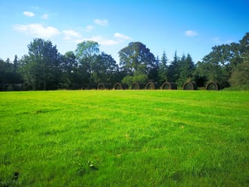 Grassy space