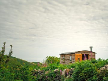 View of the shepherd's hut