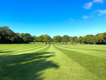 Spacious and green