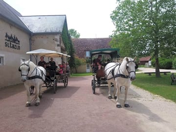 Carriage rides