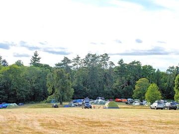 Camping at harry's meadow