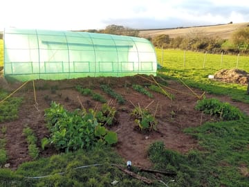 On-site produce