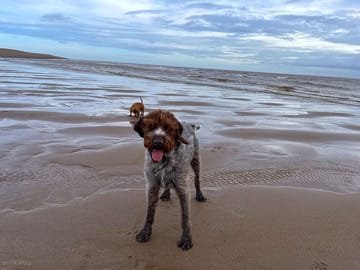 Windy day for dave on the beach