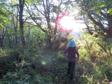 Exploring the site