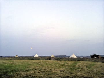 View over the field