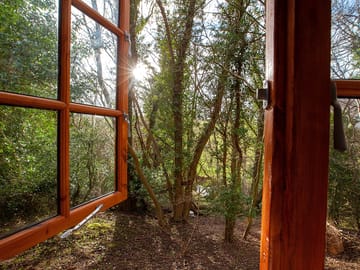 Room with a view