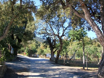Driveway and pitches
