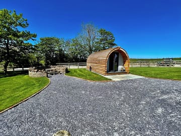 Clychau'r gog pod