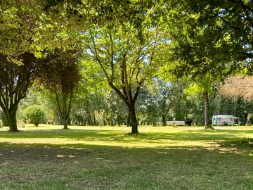 Grass pitches