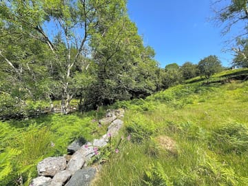 Country views