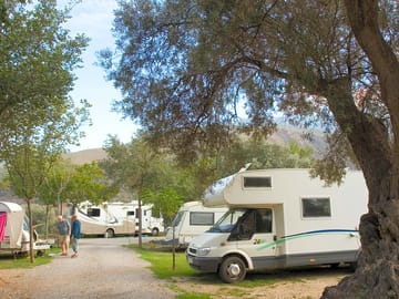 Large pitches between the trees