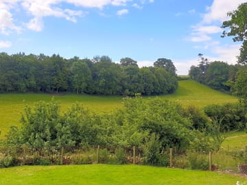 View over the site