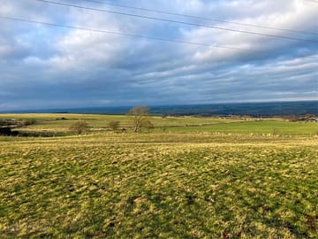 View from the site