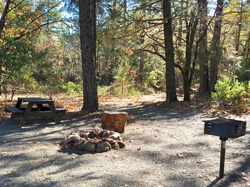 Each pitch has a picnic table, charcoal barbecue, firepit and water spout