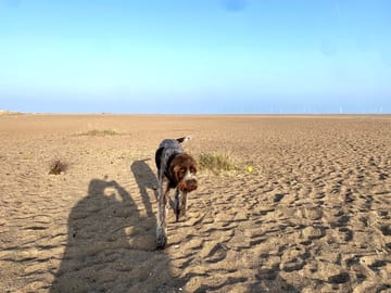 Dave loving the beach