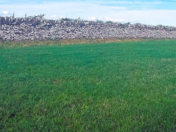Camping field