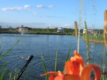 Summer view