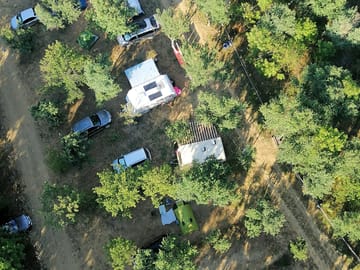 Pitches among the trees