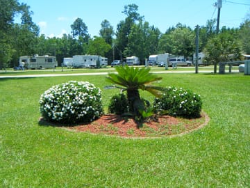 The back yard showing the front row of sites