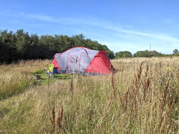Individual well-spaced out pitches