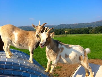 Enjoying the sunshine