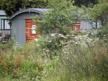 Outside the shepherd's hut