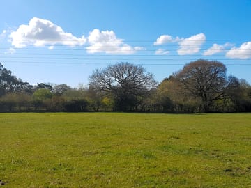 Flat and grassy