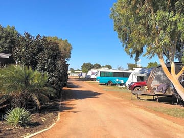 The site