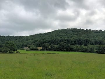 View from the site to coaley wood