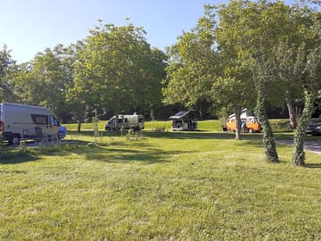 Grass pitches among the trees