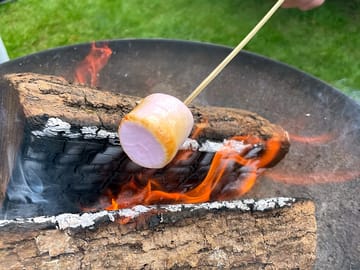 Roasting mashmallows