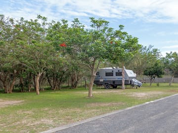 Pitches among the trees